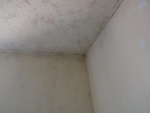 浴室天井がモルタルのカビ落としとカビ防止が楽にできる方法 ヒロの生活情報館